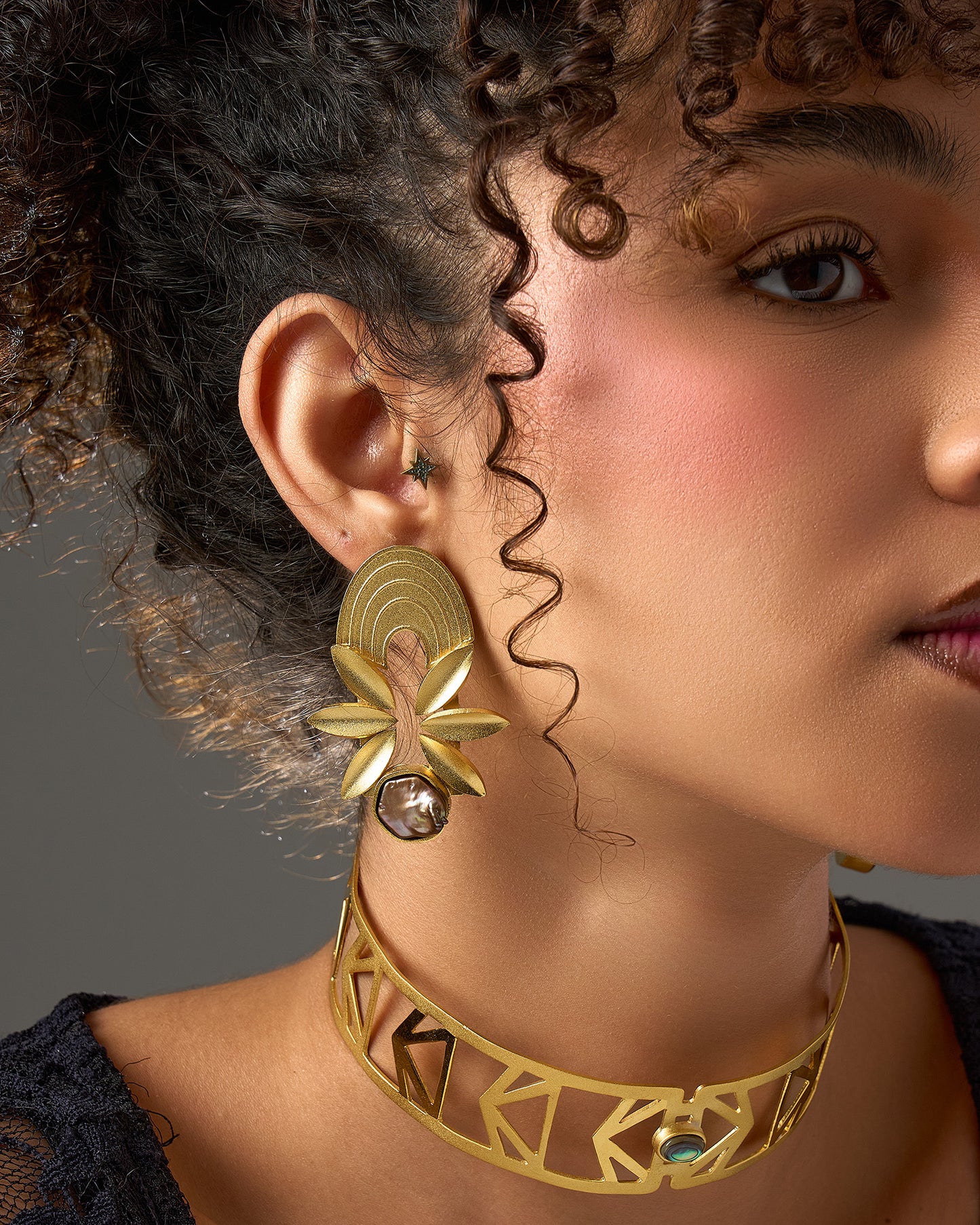 Leaves zircon Earrings