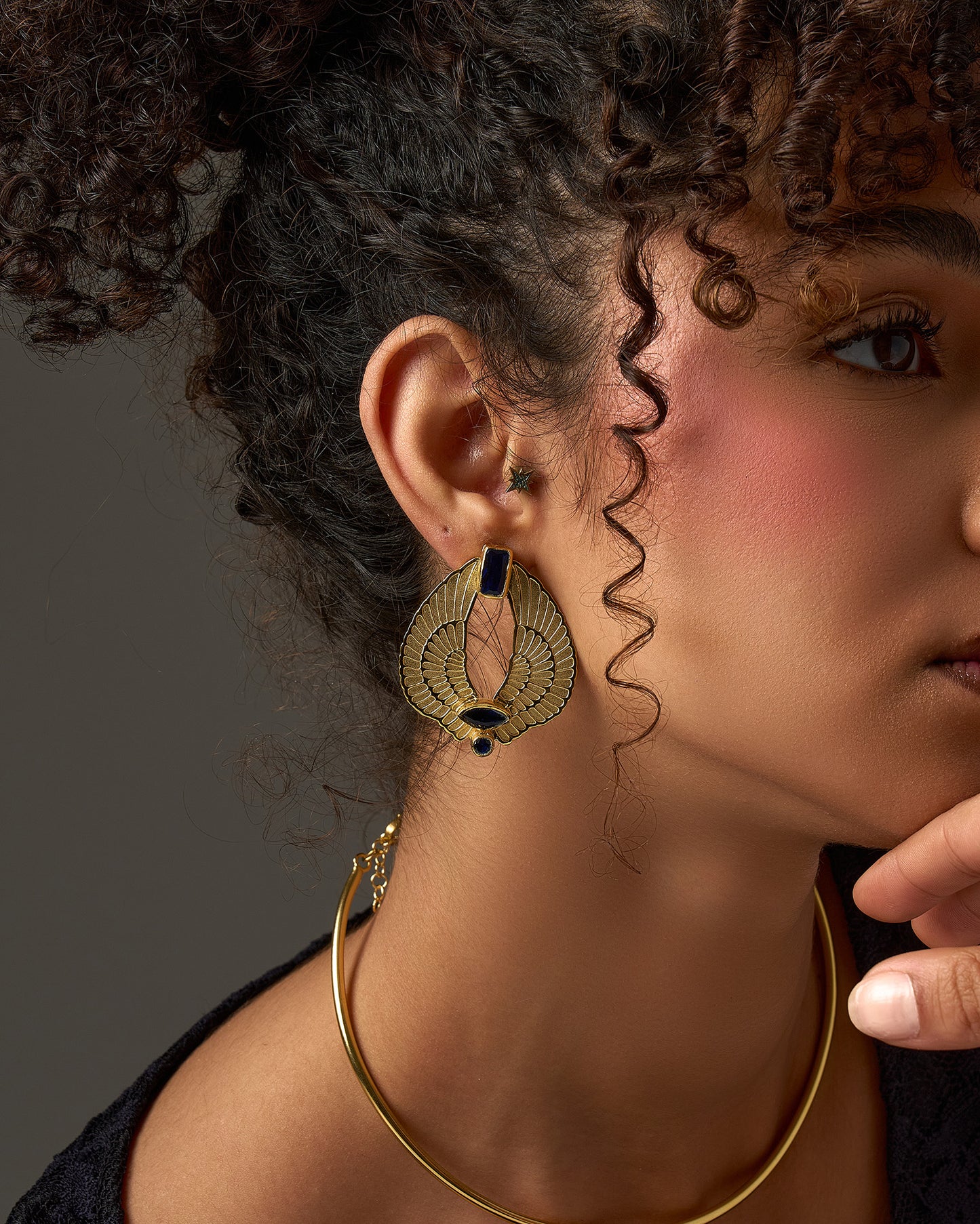 Wings Earrings