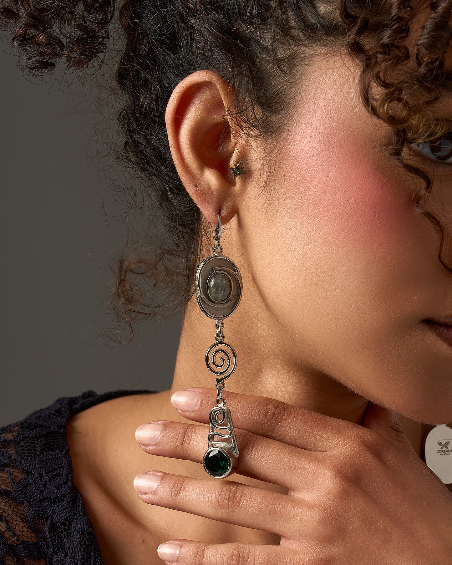 The crown Earrings