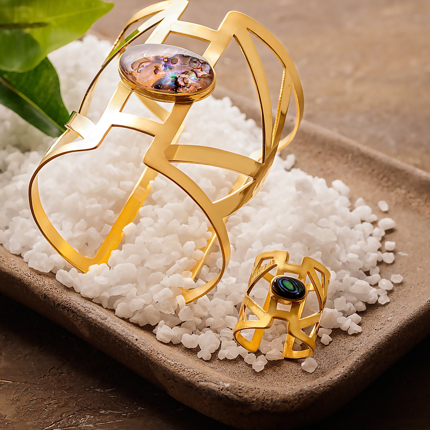 Abalone Set