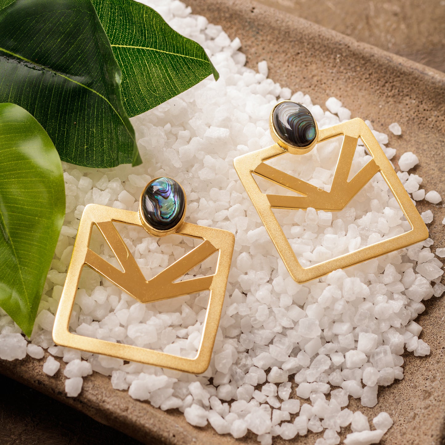 Abalone Set