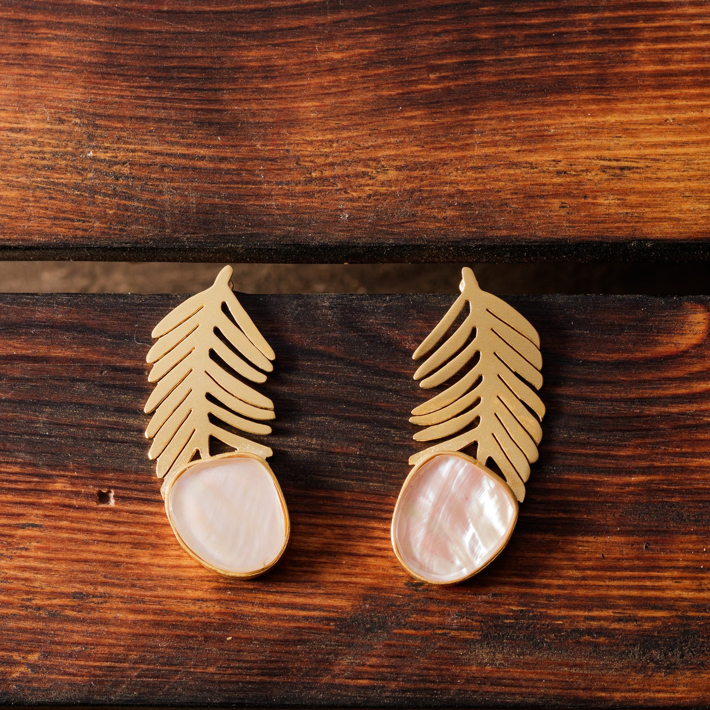 Feather shell Earrings